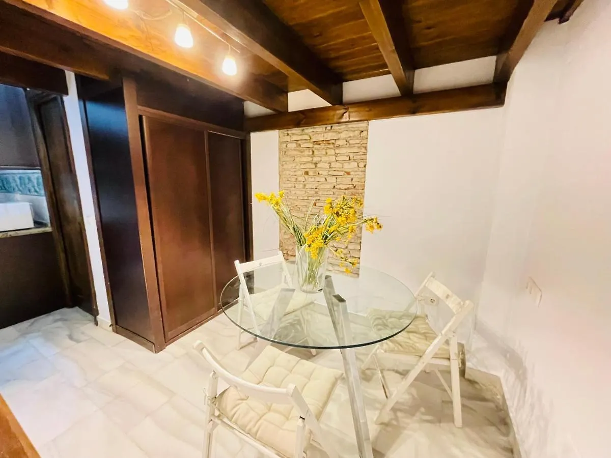 Apartment Dona Elvira Alvarez Malaga Spain